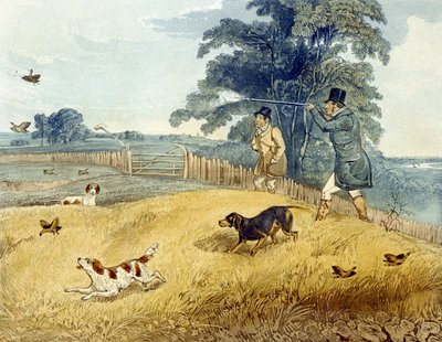 法拉盛的鸟，来自《鹧鸪射击》的板块，由约瑟夫-克莱顿-本特利（1809-51）1835年雕刻（彩色雕刻）。 作者 亨利·托马斯（之后）阿尔肯