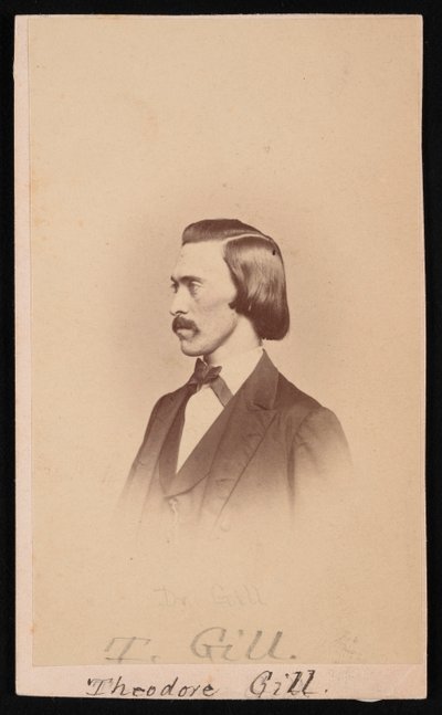 西奥多-尼古拉斯-吉尔1837-1914年的肖像，1865年至1870年间。 作者 Henry Ulke