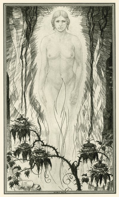 约翰韦伯斯特的白色魔鬼：白色魔鬼（石版画） 作者 亨利·韦斯顿·基恩