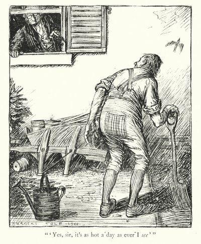  作者 赫伯特·科尔