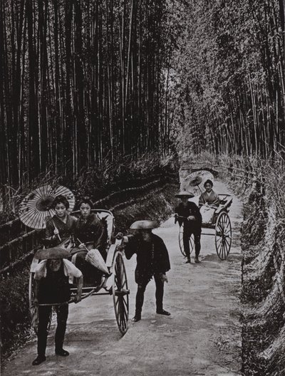 京都的竹林大道（黑白照片） 作者 赫伯特·庞廷