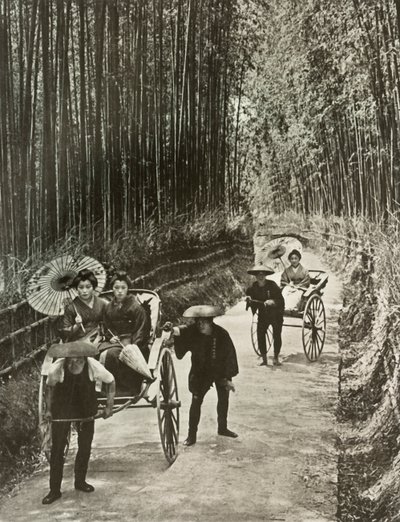 1910年在京都的一条竹林大道。 作者 赫伯特·庞廷
