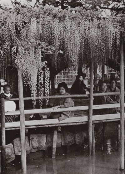 A Wistaria Arbour at Kameido (b/w photo) 作者 赫伯特·庞廷