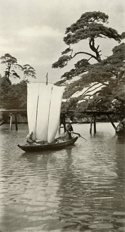 1910年在松岛。 作者 赫伯特·庞廷