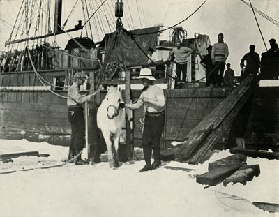 下马，1913年c19101913 作者 赫伯特·庞廷