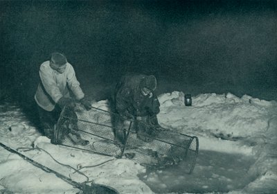 Atkinson博士和Clissold牵引鱼陷阱，1911年5月28日，1913年 作者 赫伯特·庞廷
