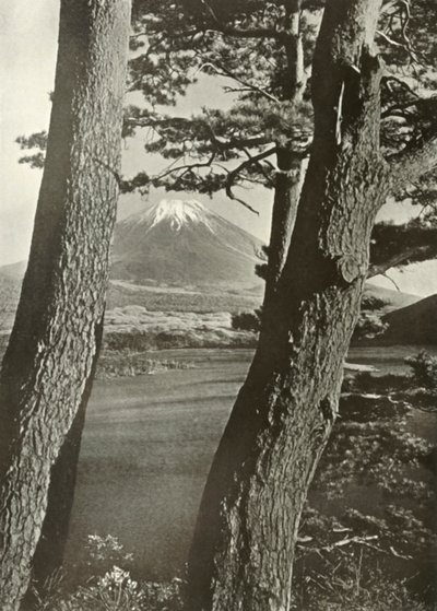 富士穿越本栖湖的松树，1910年。 作者 赫伯特·庞廷
