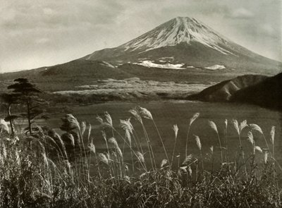 富士和凯亚草，1910年。 作者 赫伯特·庞廷