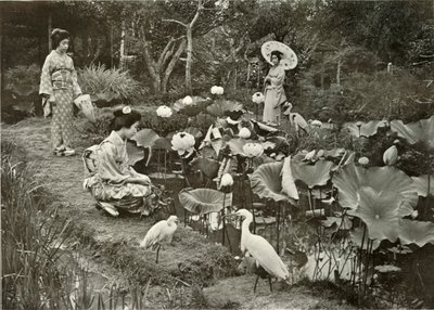 1910年在《莲花土地》中。 作者 赫伯特·庞廷