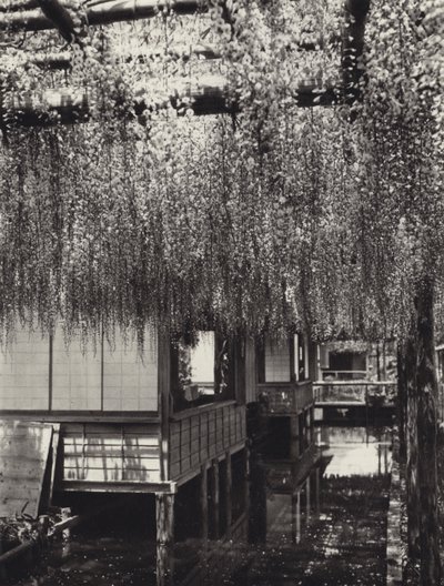 1920 年代的日本：东京、龟户（黑白照片） 作者 赫伯特·庞廷