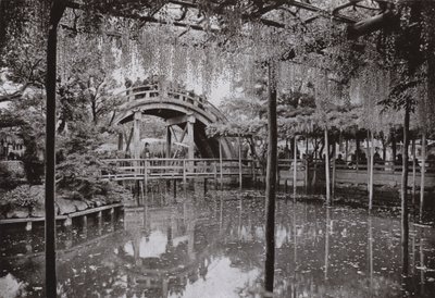 龟户（黑白照片） 作者 赫伯特·庞廷