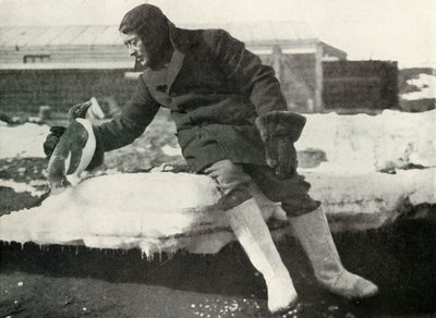 姐姐雷尼克和一只企鹅，1911年，1913年 作者 赫伯特·庞廷