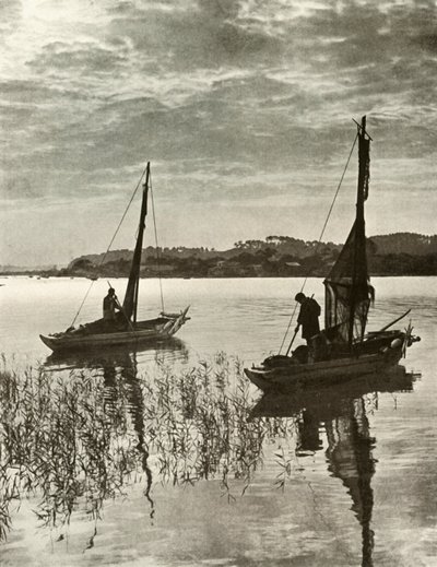 1910年在东京湾上。 作者 赫伯特·庞廷