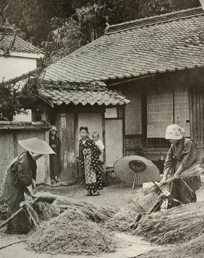 农民妇女领导大麦，1910年。 作者 赫伯特·庞廷