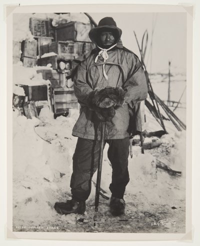 Terra Nova远征（1910-13）到南极期间的军官埃文斯（溴化物印刷品） 作者 赫伯特·庞廷