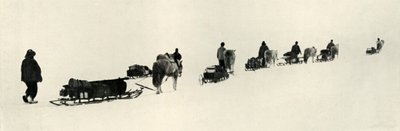 1911年3月，1913年的小马 作者 赫伯特·庞廷