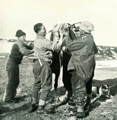 小马拿威士忌，1911年2月8日，1913年 作者 赫伯特·庞廷