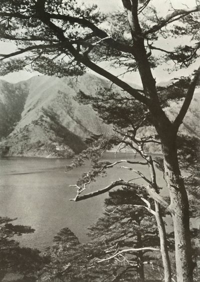 横跨湖的酒店，庄二，1910年。 作者 赫伯特·庞廷