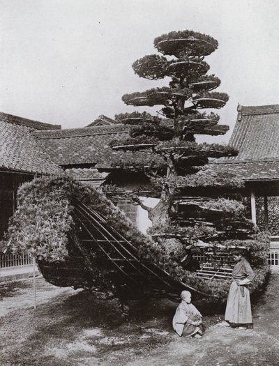 The Pine-Tree Junk at Kinkakuji (b/w photo) 作者 赫伯特·庞廷