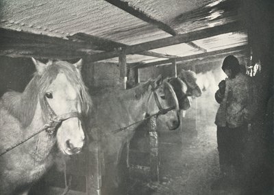 冬季马St，c19101911，1913年 作者 赫伯特·庞廷