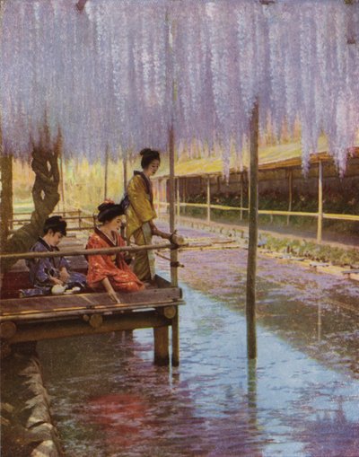 Under the Purple Wistarias (photo) 作者 赫伯特·庞廷