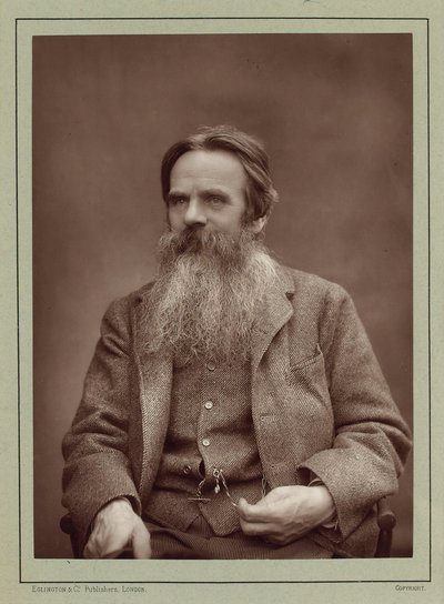 画家威廉-霍尔曼-亨特的肖像，1827-1910年，约1885年。 作者 赫伯特·罗斯·巴罗德