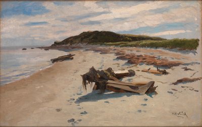 科德角, 海滩 作者 赫尔曼·哈特维奇（Herman Hartwich）