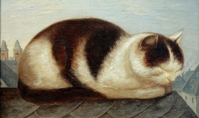 猫 作者 赫尔曼·安舒兹（HermannAnschütz）