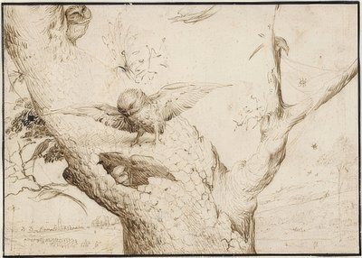 欧伦斯特。一架1505-10 作者 Hieronymus Bosch