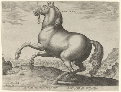 法国马（Gallicus）
高卢马（物品上的标题）
来自奥地利唐璜皇家马厩的马匹品种（系列标题）
Equile Ioannis Austriaci Caroli（系列名称） 作者 飞利浦加勒