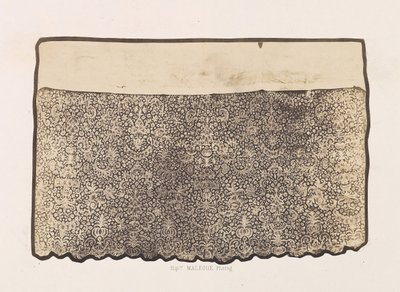 丹特尔河畔的奥布，属于探访修道院，1857年。 作者 希波吕特·马莱格