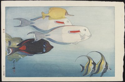 檀香山水族馆 作者 吉田博史
