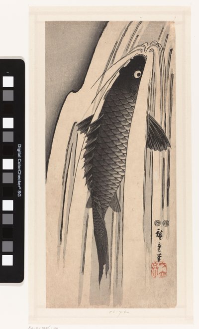 鲤鱼逆流而上 作者 歌川广重 (I)