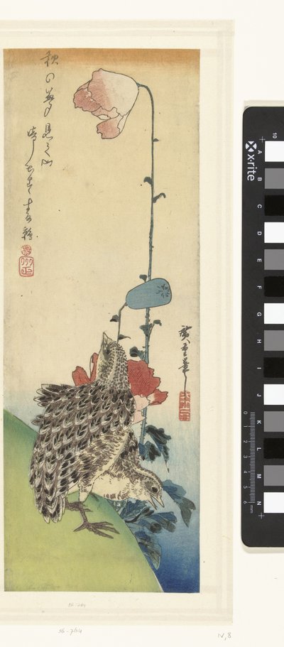 鹌鹑和罂粟花 作者 歌川广重 (I)