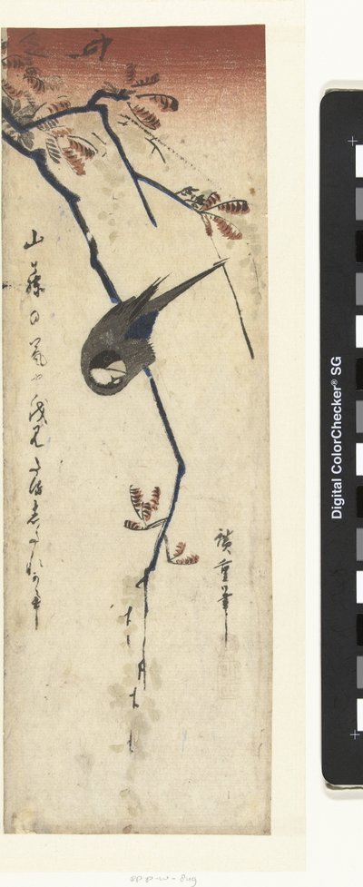 小鸟和紫藤 作者 歌川广重 (I)
