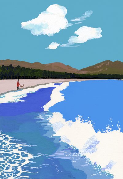 海滩和松树林 作者 井筒宏之