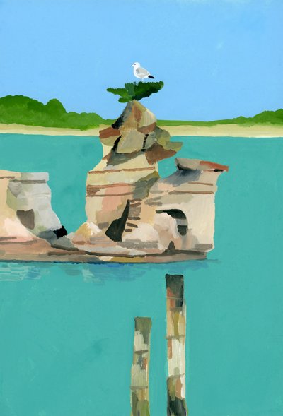 Seagull resting 作者 井筒宏之