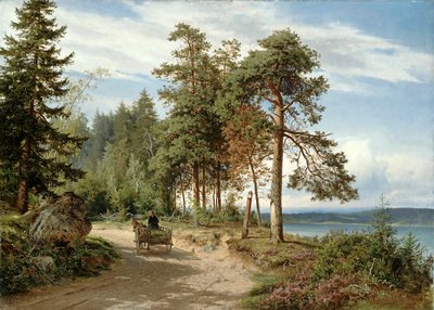 芬兰的道路 作者 Hjalmar Munsterhjelm