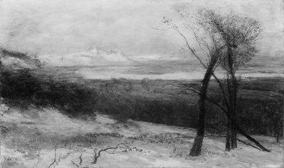 安大略湖沙丘背后，1883-87年。 作者 荷马·道奇·马丁