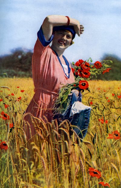 英国玫瑰，c1922 作者 霍勒斯·沃尔特·尼科尔斯