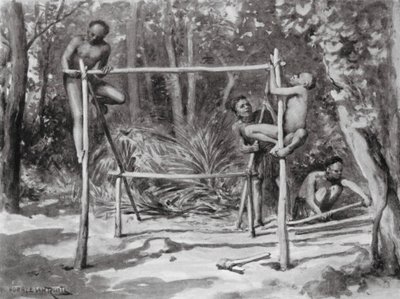 生命的曙光，建设家园（平版） 作者 霍勒斯·范·鲁伊斯