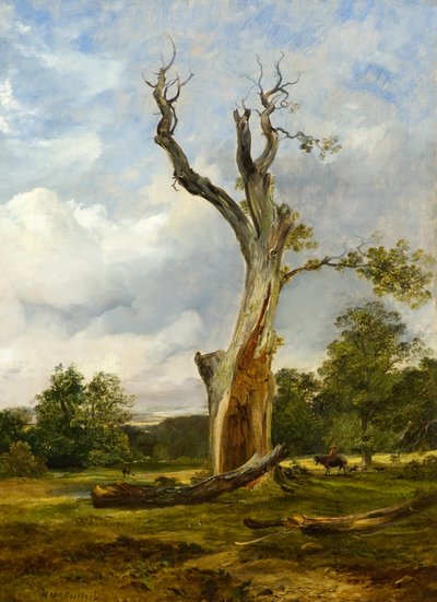 爆破树，约1838年（布面油画） 作者 霍拉索·麦卡洛克（Horatio McCulloch）