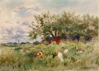 观察火鸡 作者 霍拉蒂·沃克