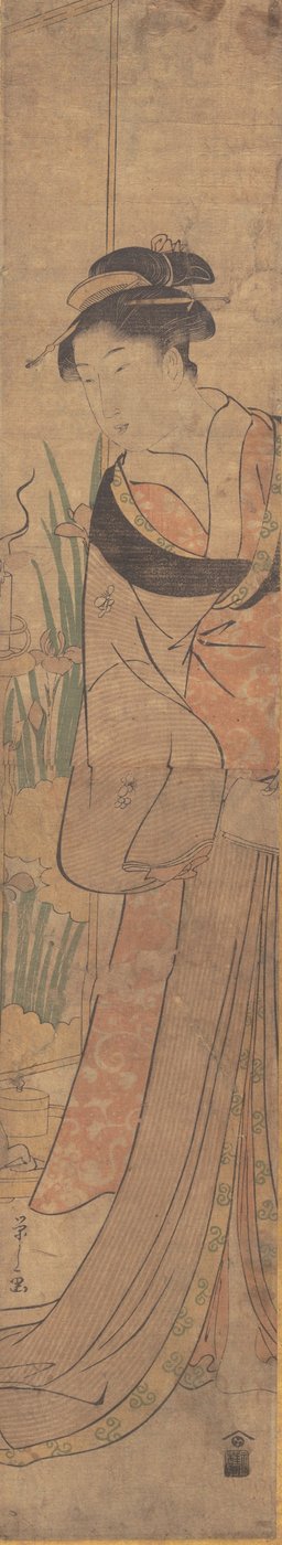 年轻女士和鸢尾花园。 作者 细田英史