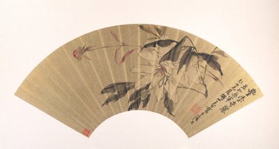 草本牡丹。 作者 胡元