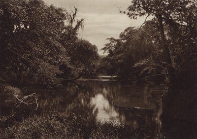 墨西哥：维拉克鲁斯州，Tamasopo，Panorama del rio（黑白照片） 作者 雨果·布雷默