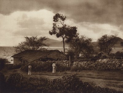 墨西哥：横跨查帕拉湖的美景（黑白照片） 作者 雨果·布雷默