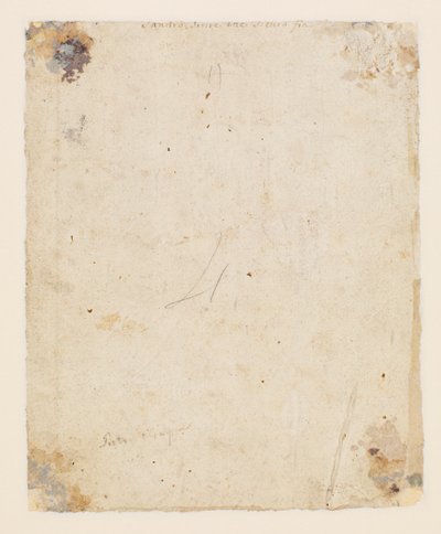 背面有题字：上部中央，褐色墨水，18世纪意大利人的手：“桑德罗（Sandro）写下那肯定的国际汽联”；下方是棕色墨水，十九世纪的手：“ Petro Perugino”， 作者 雨果范德高斯