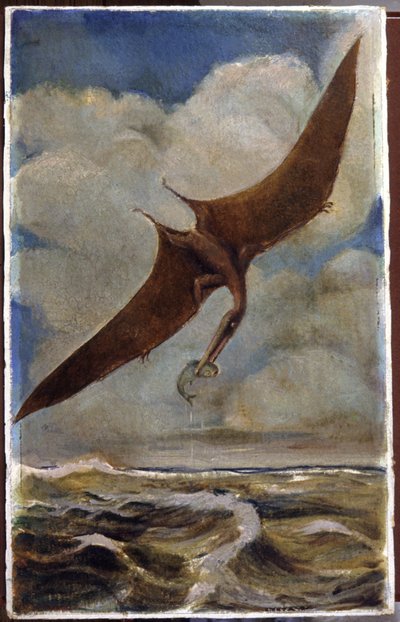 一只翼手龙约1880年（水粉画） 作者 匈牙利学校
