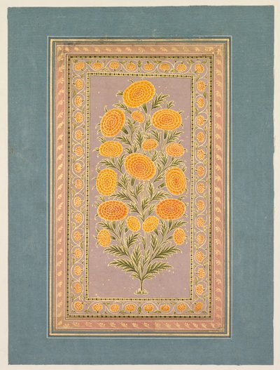开花的金盏花，约1765年。 作者 洪哈尔二世